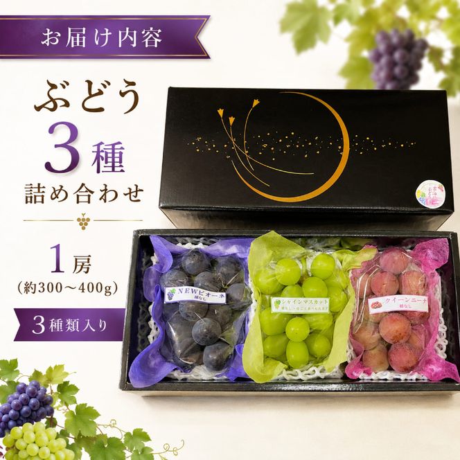 園主おまかせ！ぶどう3種詰め合わせセット【こづち】（3房入り）約1.2kg 化粧箱 岡山県 高梁市産