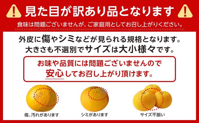 ご家庭用 はっさく約4kg 大小サイズ 混合   FB03