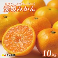 先行予約 愛媛みかん 10kg 24000円 愛媛 みかん 温州みかん こたつ みかん mikan 蜜柑 ミカン 家庭用 贈答用 ギフト プレゼント お歳暮 産地直送 国産 農家直送 糖度 期間限定 数量限定 特産品 ゼリー ジュース アイス 人気 限定 甘い フルーツ 果物 柑橘 先行 事前 予約 受付 ビタミン 美味しい おいしい 吉田農園 愛南町 愛媛県
