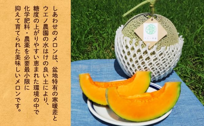 ＜2026年発送＞ふらの産 しあわせのメロン キングメルティ 青肉 2玉 計3.2kg メロン 富良野メロン