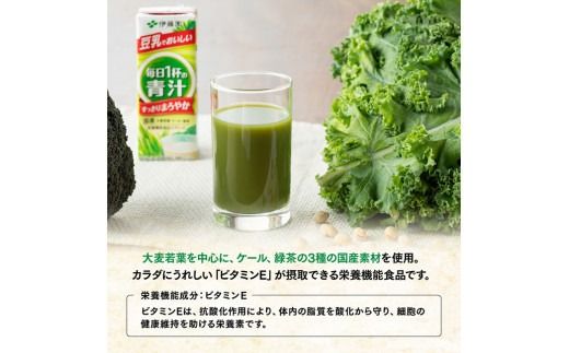 伊藤園 毎日１杯の青汁 まろやか豆乳ミックス（紙パック）200ml×24本【6ヶ月定期便】 【 全6回 伊藤園 飲料類 青汁飲料 低カロリー ジュース 飲みもの】 [D07327t6]