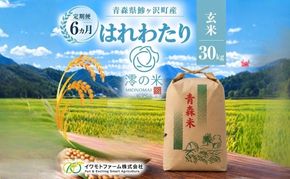 【6回定期便】米 30kg 玄米 はれわたり イワモトファーム 青森県産 令和8年産 6ヶ月 定期便 新米 健康 栄養 食物繊維 業務用 大容量 ブランド米 直送 農家直送 お取り寄せ お米 こめ コメ 国産 送料無料