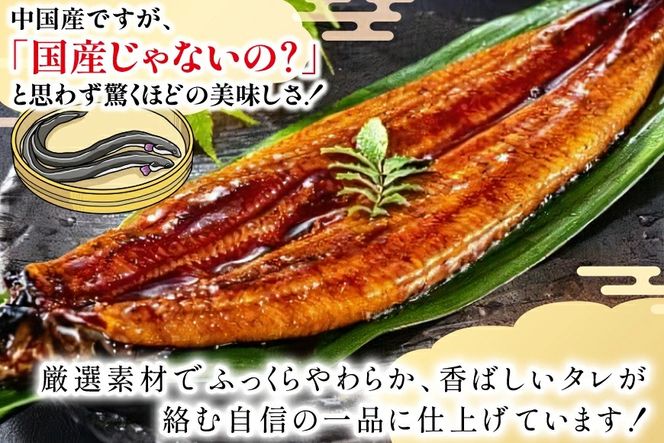 しの 鰻蒲焼き950g うなぎ 蒲焼 特大サイズ 肉厚 約 1.5kg 4尾 タレ・山椒付 茶葉