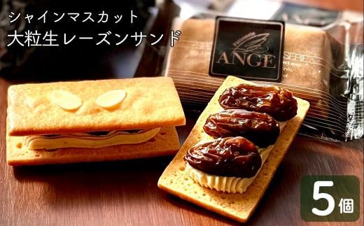 プレミアム大粒生レーズンサンド（シャインマスカット） 【1383】