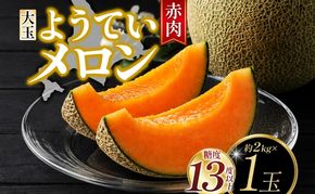 北海道 赤肉メロン 大玉 約2kg 1玉 メロン 赤肉 果物 フルーツ 甘い 完熟 スイーツ デザート 産直 国産 贈答品 お祝いギフト羊蹄山 JAようてい