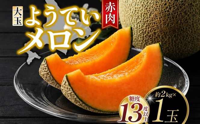 北海道 赤肉メロン 大玉 約2kg 1玉 メロン 赤肉 果物 フルーツ 甘い 完熟 スイーツ デザート 産直 国産 贈答品 お祝いギフト羊蹄山 JAようてい