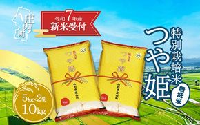 【新米受付 10月発送】R7年産 つや姫無洗米 10kg（入金期限：2025.9.15）