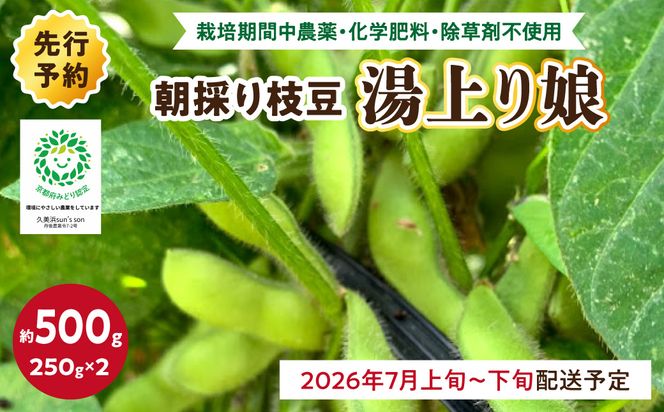 【先行予約／数量限定40】朝採り枝豆（湯上り娘）500g（250g×2パック）（栽培期間中農薬・化学肥料・除草剤不使用）（2026年7月上旬～発送） おつまみ 農家応援 京都産 えだまめ 朝採れ 農家直送　KU00075