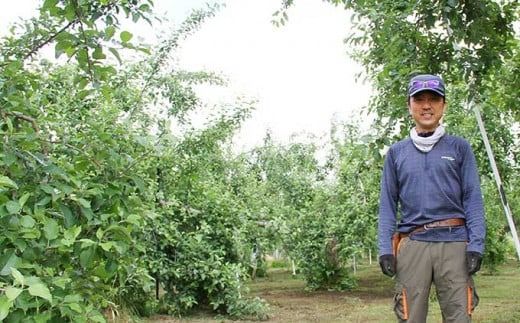 長野県りんごの味比べ 約5kg 12～18玉 シナノスイート シナノゴールド ［小布施屋］ りんご 林檎 リンゴ 果物 フルーツ 令和7年産【2025年10月下旬～11月発送】 ［A-501］