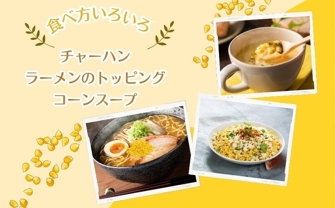 とうもろこしの“まんま”　FB049