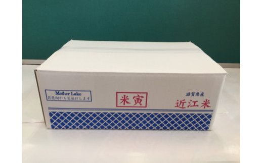 【7年産】近江米夢ごこち【5kg×2袋】【T035W3】