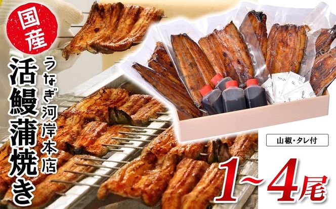 y錧SzȂ͊ݖ{X yYz VĂ R/^t