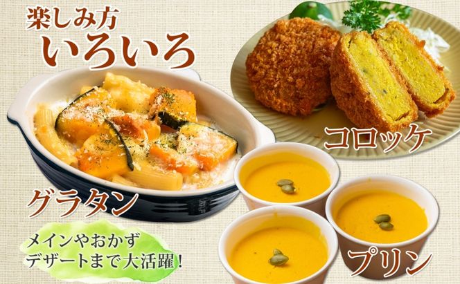 【2026年発送】北海道 オーガニック ３種 の かぼちゃBOX 計約4kg カボチャ デリカタ ミニバターナッツ ロロン 南瓜 有機野菜 野菜 有機栽培 JAS 産直 産地直送 国産 ニセコグリーンファーム