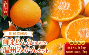 【先行予約】【数量限定】田縁農園の岬（はな）まどんな＆温州みかんセット （2026年11月25日より順次発送） IKTA005