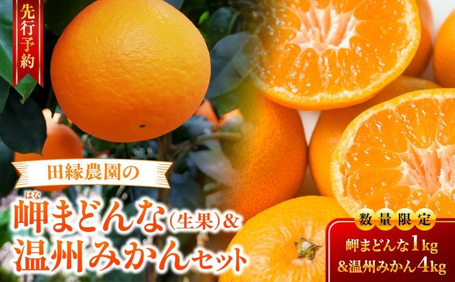 【先行予約】【数量限定】田縁農園の岬（はな）まどんな＆温州みかんセット （2026年11月25日より順次発送） IKTA005