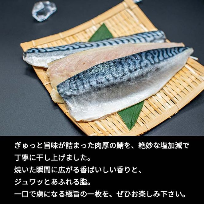 サバ干物　片身6枚　訳あり 鯖 さば サバ 魚貝類 加工食品 冷凍 焼くだけ 簡単調理 朝食 朝ごはん お弁当 訳アリ 福井県 若狭町
