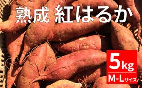  熟成 紅はるか 5kg M-Lサイズ さつまいも いも 低温熟成 完全熟成収穫 甘い 糖度 焼き芋 やきいも スイートポテト おやつ 高糖度 料理 国産 愛媛県 愛南町 青果市場