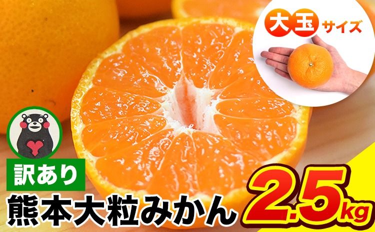 ご家庭用 熊本 大粒みかん 約2.5kg (3L〜5Lサイズ)大玉 みかん 先行予約 熊本 ちょっと 訳あり 傷 たっぷり 熊本県産 熊本県 期間限定 フルーツ 旬 柑橘 長洲町 大粒みかん[2026年1月中旬-2月末頃出荷]---fn_notbmkn_bc1_r7_5000_2500g---