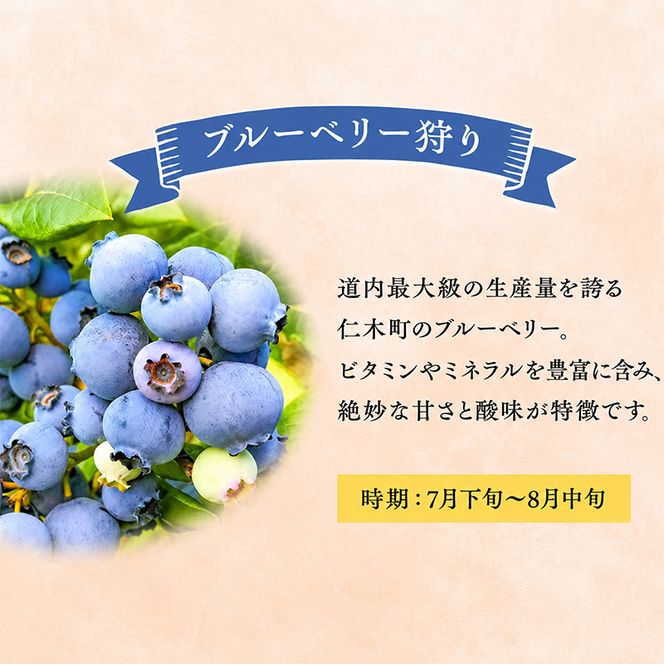 妹尾観光農園 フルーツ狩りチケット3000円 割引 チケット クーポン 利用券 フルーツ 旅行 体験 農園 北海道 仁木町 [フルーツショップ妹尾観光農園]