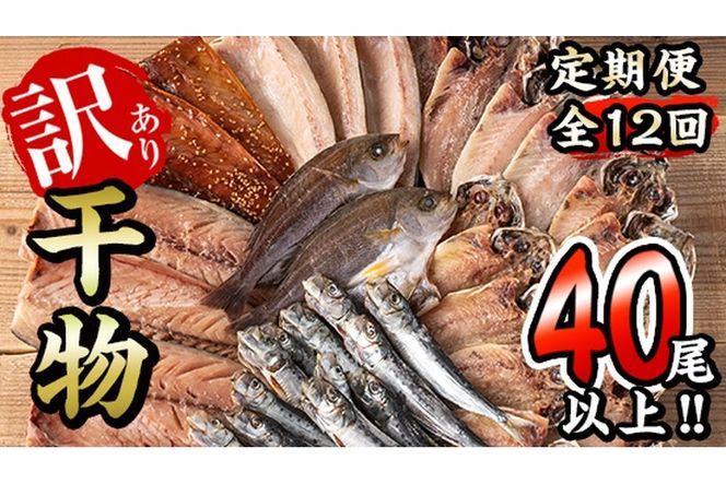 ＜定期便・全12回 (毎月)＞訳あり 干物大満足BOX (40尾以上) 定期便 簡単 調理 干物 あじ かます さば いわし みりん干し 丸干し 開き 魚 海鮮 冷凍 詰め合わせ セット 大分県 佐伯市【AQ91】【(株)やまろ渡邉】