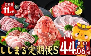 【定期便11ヶ月】ししまる定期便S(11ヶ月連続 月1～2回お届け！・計44.06kg) t0390-001