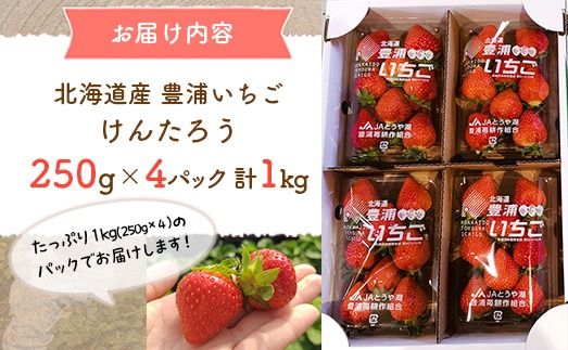 【2026年4月下旬以降出荷】豊浦いちご　250ｇ×4パック【 ふるさと納税 人気 おすすめ ランキング 果物 いちごイチゴ 苺 大玉 大粒 けんたろう おいしい 美味しい 農園直送 採れたて 新鮮 産直 苺 ストロベリー 北海道 豊浦町 送料無料 】 TYUAH003