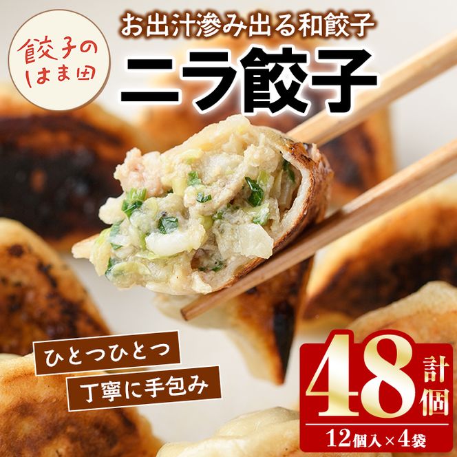 ＼テレビで紹介されました！／ニラ餃子(12個入×4袋・計48個) 餃子 生餃子 ギョウザ ぎょうざ ギョーザ セット 詰め合わせ おかず お惣菜 冷凍 和風 水餃子 にら ニラ 手作り【餃子のはま田】akn096-01