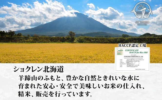 【2026年3月出荷】北海道 倶知安町産 ななつぼし 精米 5kg 米 特A 白米 お米 道産米 ブランド米 契約農家 ごはん 炊き立て ご飯 もちもち  国産 人気 お取り寄せ ギフト 贈り物 備蓄 保存 おまとめ買い ショクレン 送料無料