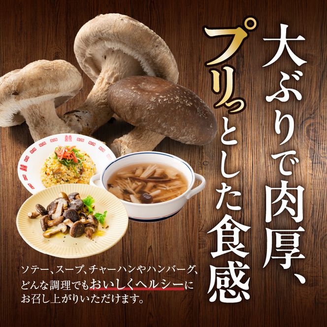 駒来ファームの 極上・肉厚 生しいたけ［131L01］極上 肉厚 生しいたけ 生シイタケ 生椎茸 安心 安全 国産 採れたて 新鮮 きのこ 野菜