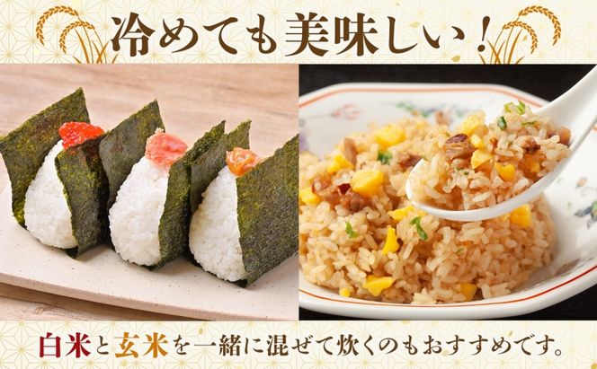 彩のきずな（玄米）10kg　米 コメ こめ お米 玄米 精米 ライス 冷めても美味しい 硬くなりにくい おにぎり お弁当 鳩山町 埼玉県産