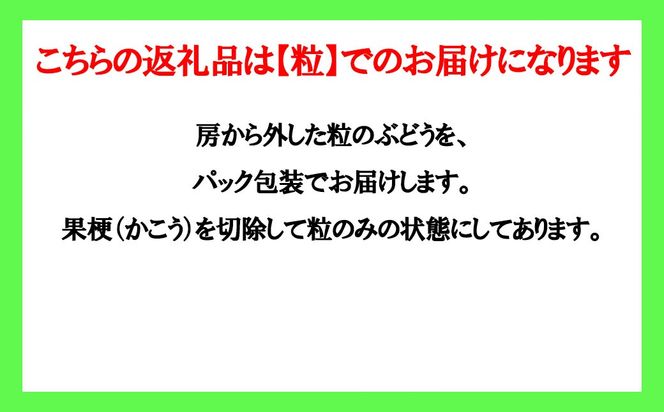 手軽に楽しむ《徳用・粒ぶどう》 【ミックス（２種以上）】 1.0kg（パック包装） 【2026年発送分 先行予約】- FUJIKAWA GRAPES -