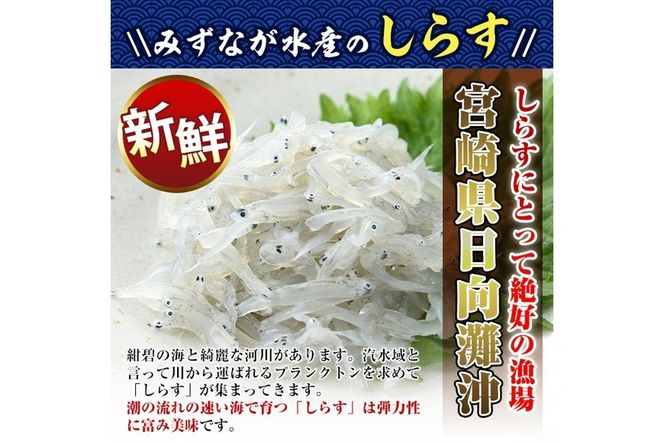 小分けしらすツインパック12個セット(計約600g・25g×2パック×12個)魚 小魚 魚介類 シラス おつまみ カルシウム 個包装 釜揚げ しらす丼 冷凍 子供 海鮮丼 お茶漬け 海鮮 宮崎県 門川町【E-22】【株式会社 水永水産】