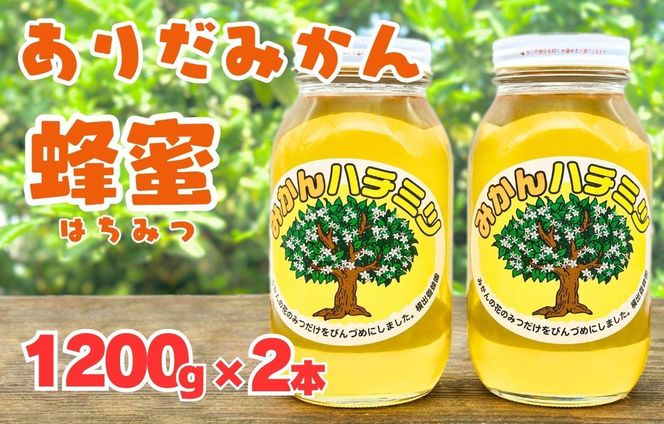 ありだみかん蜂蜜 1200g×2本セット BC07