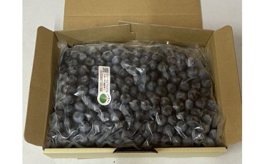 大粒冷凍ブルーベリー1kg ※離島への配送不可