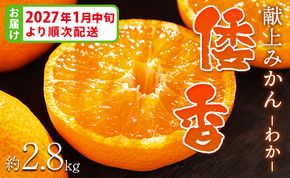 <2027年1月中旬より順次配送＞土佐乃かなや マルチ 献上みかん「倭香(わか)」2.8kg - 柑橘 数量限定 配送時間指定 箱 贈答品 贈答用 プレゼント ギフト お祝い 内祝い be-0105