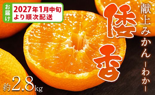 <2027年1月中旬より順次配送＞土佐乃かなや マルチ 献上みかん「倭香(わか)」2.8kg - 柑橘 数量限定 配送時間指定 箱 贈答品 贈答用 プレゼント ギフト お祝い 内祝い be-0105