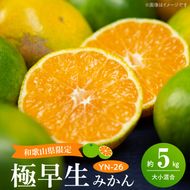 【2026年先行予約】和歌山県限定の極早生みかん 5kg (YN-26 大小混合)_EA6105