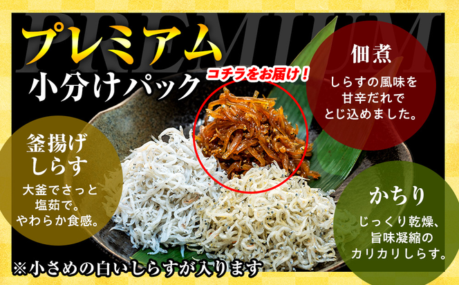 プレミアム 釜揚げ しらす 佃煮 1kg(100g×10パック) 小分け 減塩 無添加 無着色 冷凍 愛知県 南知多町 ご飯 ごはん 丼 料理 国産 カネ成 シラス 人気 おすすめ シラス しらす しらすごはん shirasu sirasu SIRASU 人気シラス