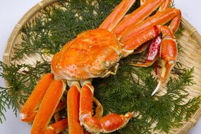 1033.鳥取県産　タグ付きボイル松葉ガニと活松葉ガニの欲張りフルコース中2枚セット　(700g前後)　※2025年11月上旬～2026年3月下旬頃に順次発送予定 313726_AL032