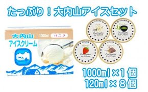 アイスクリーム アイス バニラ 抹茶 グリーンティー イチゴ ストロベリー チョコ チョコレート 大容量 / たっぷり！大内山アイスセット【khy041B】