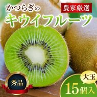 【先行予約】 先行予約！和歌山県産 秀品 キウイフルーツ 大玉15個入 こだわり農家厳選  / キウイ 果物 フルーツ ※2026年12月中旬～2027年1月中旬頃に順次発送予定 ※沖縄・離島への配送不可【kgr021】