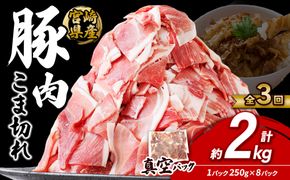 定期便 3回お届け 宮崎県産 いもこ豚 小間切れ 2kg (250g×8パック) 真空パック 小分け 豚肉 えびの市