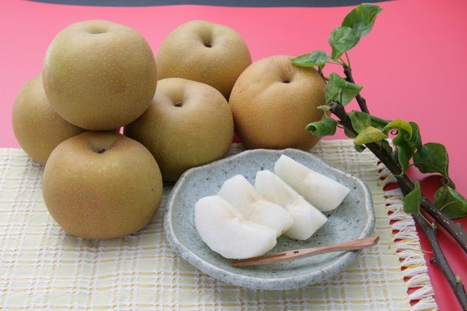 藤岡さんが作ったきららか梨(幸水・豊水)約5kg ｜ フルーツ なし 果物　 果物 フルーツ 秋の味覚 デザート 食後 おやつ 旬の果物 旬のフルーツ 最高級 ブランド梨 　※2026年8月～発送