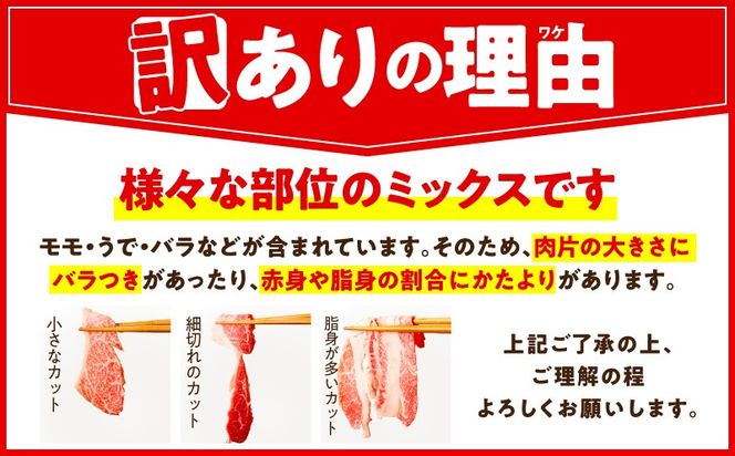 mrz0511 【期間限定】国産牛 切り落とし 2.4kg 小分け 300g×8P【氷温熟成×極味付け 国産 牛肉 訳あり サイズ不揃い カレー 牛丼 野菜炒め 肉じゃが スピード発送】
