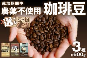 【栽培期間中農薬不使用】自家焙煎コーヒー豆　お試しセット（200gx3種）八月の犬　珈琲豆　ドリップ　飲み比べ　ブホペ 飲料 珈琲 こーひー コーヒー coffee　HA00021