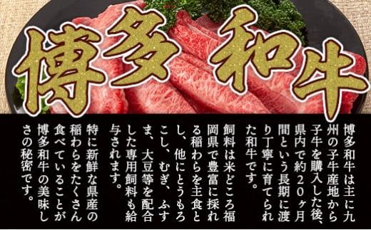 訳あり！【A4～A5】博多和牛赤身霜降りしゃぶしゃぶすき焼き用（肩・モモ）600g DX051