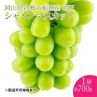 ぶどう2026年 先行予約 【プレミアムシャインマスカット 晴王 1房 約700g】船穂産 赤秀品以上 岡山県産 葡萄 ブドウ ギフト ハレノフルーツ 皮ごと食べる みずみずしい