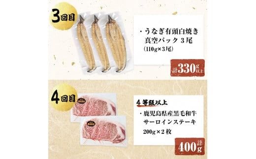 【定期便全6回】鰻と肉の贅沢定期便！鰻とお肉が交互に届くお楽しみ便 t0101-005