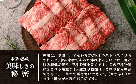 【氷温®熟成】石垣島産 黒毛和牛 肩ローススライス 500g お肉 肉 牛肉 冷凍 すきやき すき焼き 牛丼 和牛 しゃぶしゃぶ 八重山食肉センター 肩ロース YC-3