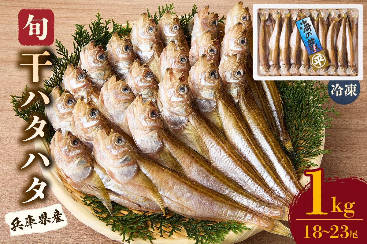 [干物 干ハタハタ 1kg 干物の本場 香住産 冷凍]塩と氷を直接ふりかけ桶で一晩漬け込んだ「まぶり塩製法」により干し上げました。伝統の技術 素材の良さ抜群 兵庫県 香美町 香住 柴山 大人気 ふるさと納税 蔵平水産 08-08